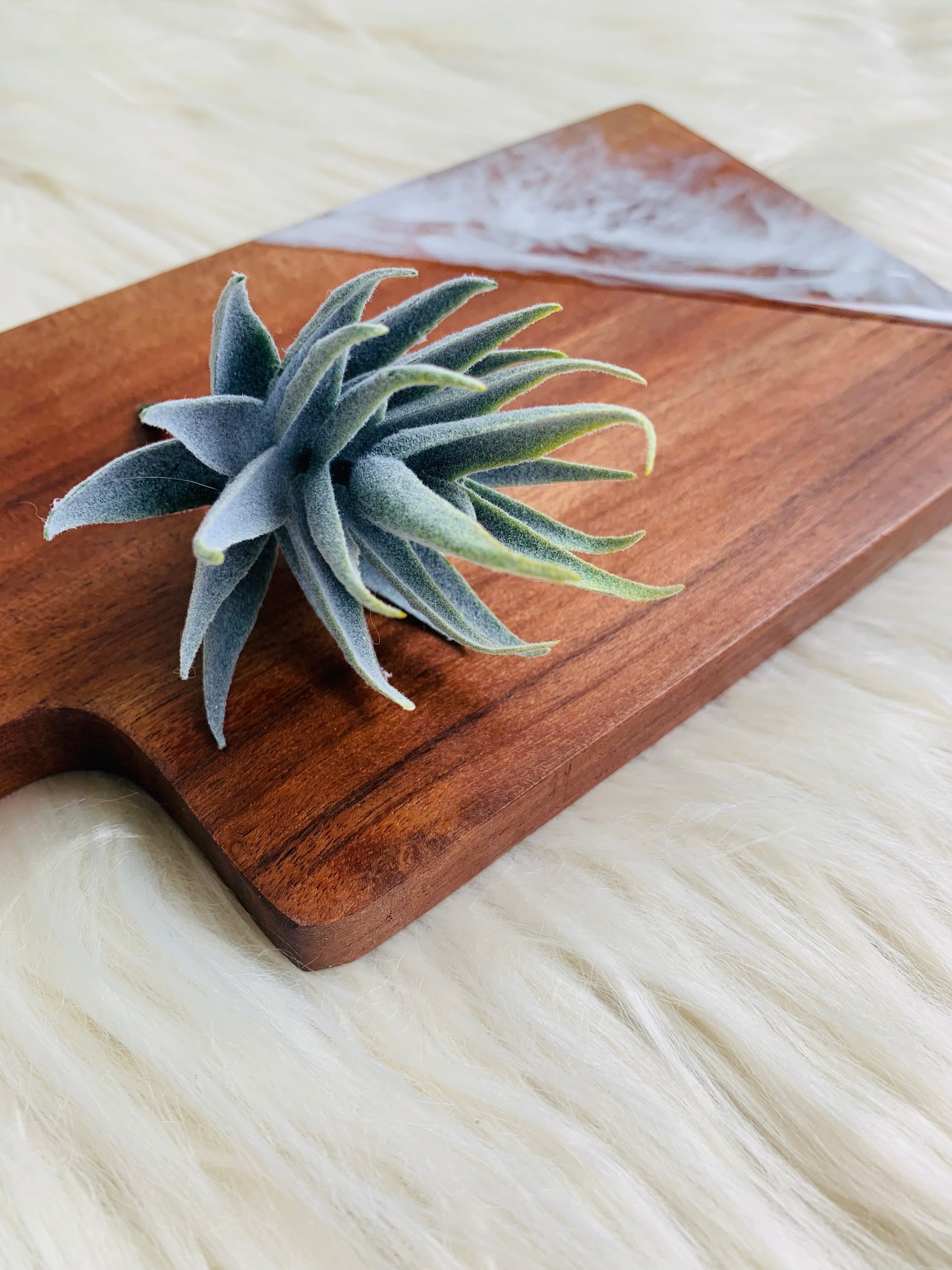 Clear Water Mini Serving Board